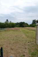 /album/le-jardin/p1030281-jpg/